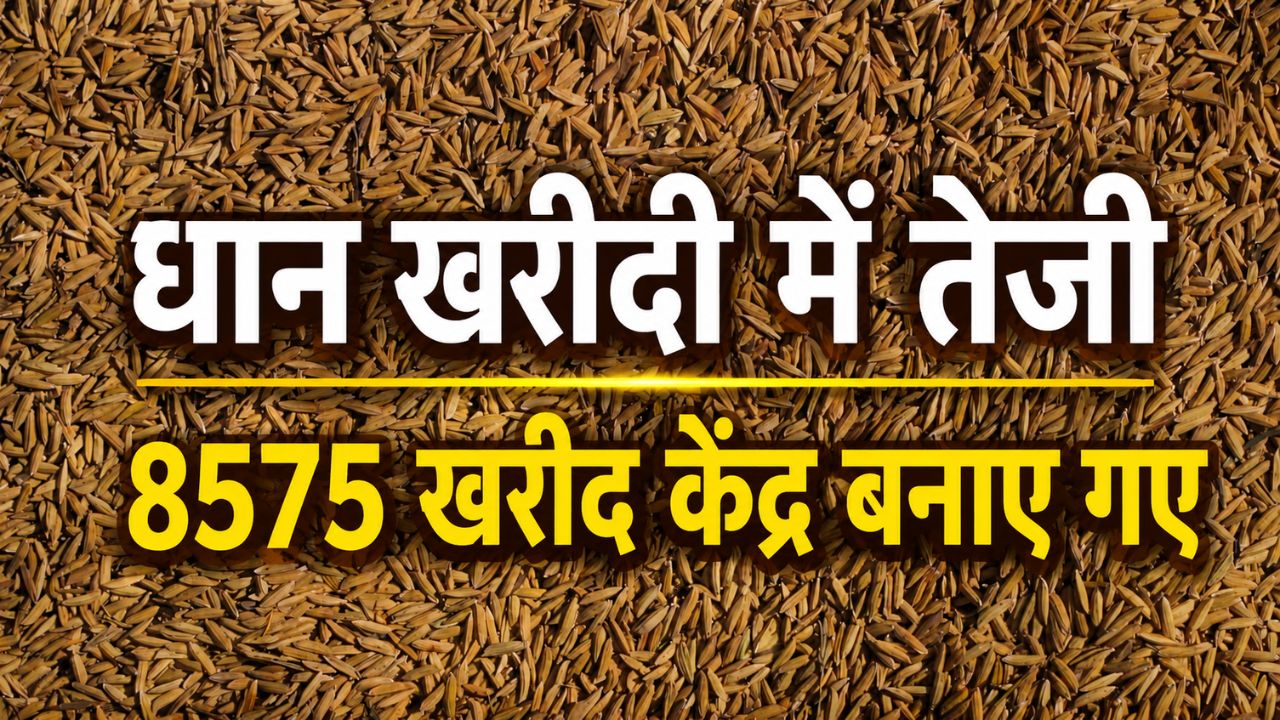 4 Million Tonnes Paddy Procured In Telangana Rs 6462 Crore Transferred To Farmers Accounts