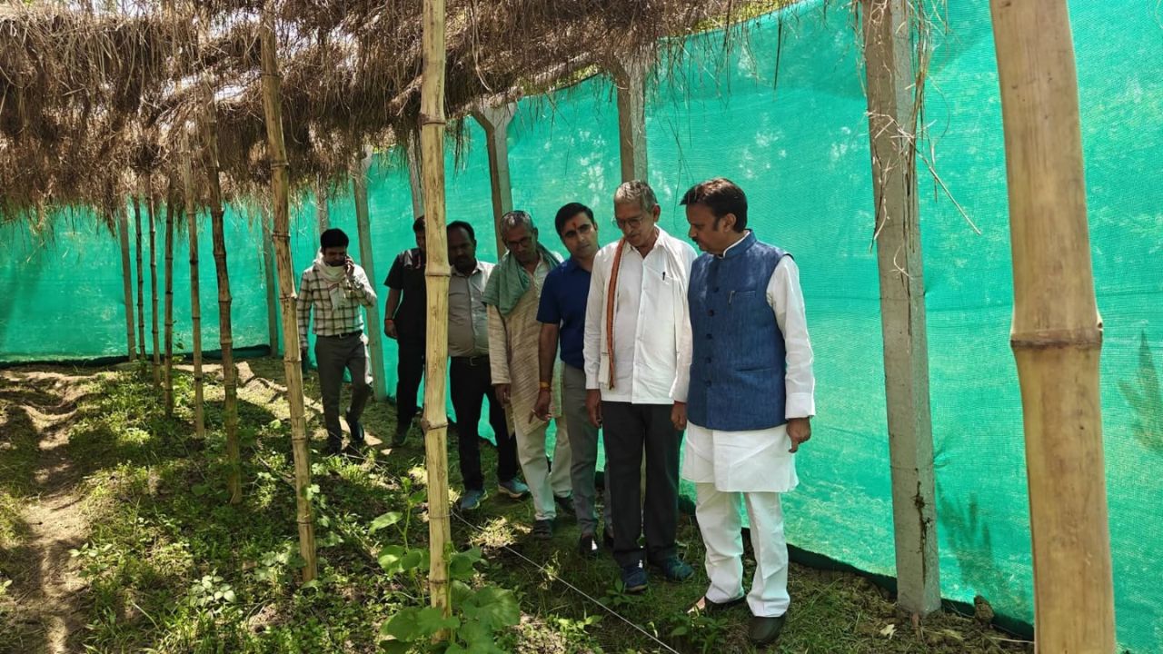 2000 Cow Shelters Revolutionizing Chemical Free Farming In Madhya Pradesh Now They Will Generate Electricity Too By Gobar Gas Plant