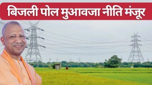 यूपी कैबिनेट: कृषि भूमि मुआवजे पर नई नीति मंजूर, खेत में हाईटेंशन टॉवर लगा तो दोगुना मिलेगा पैसा