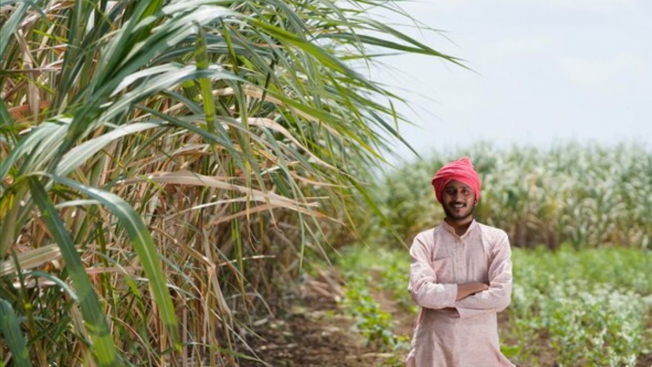 Kisan Majdoor Morcha Announces Protest On 18th May Over Farmers Issues And Pending Rs 230 Crore Sugarcane Dues