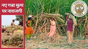 केंद्र ने गन्ना मूल्य बढ़ाया फिर भी नाराज क्यों हुए किसान? जानें सबसे ज्यादा किस राज्य में गन्ना FRP केंद्र ने गन्ना मूल्य बढ़ाया फिर भी नाराज क्यों हुए किसान? जानें सबसे ज्यादा किस राज्य में गन्ना FRP