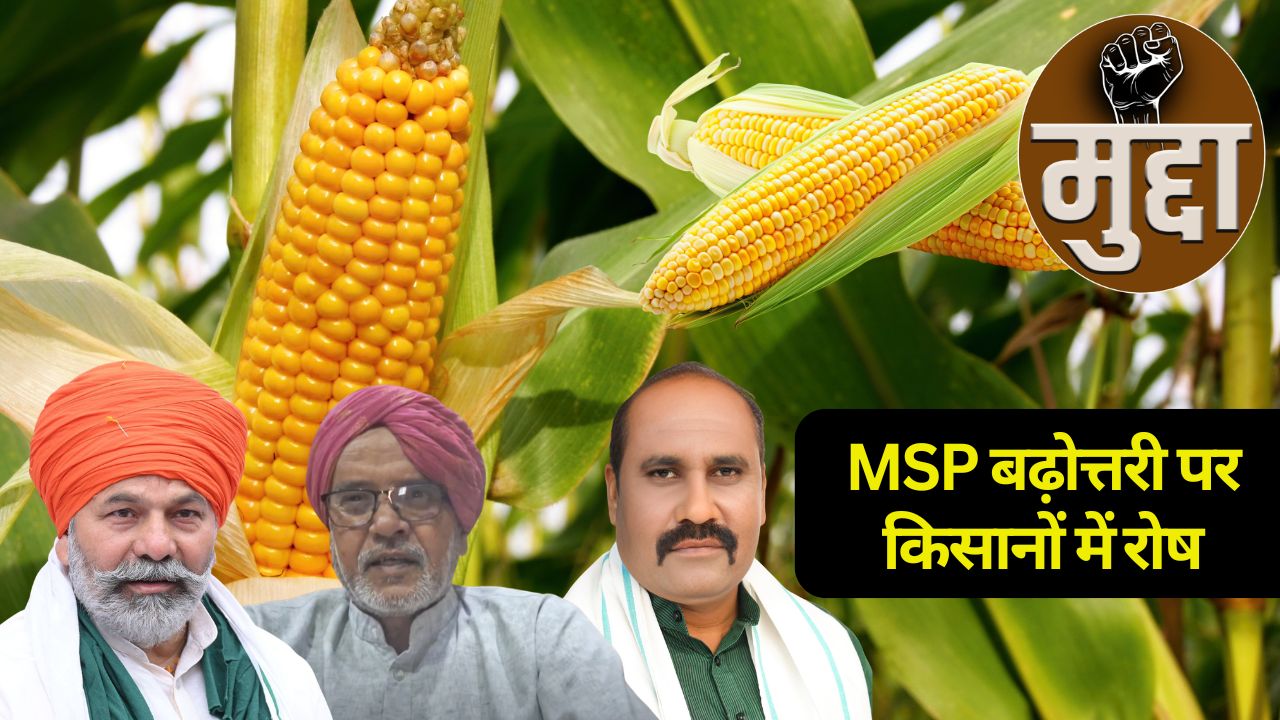 Farmers Outraged Over 0 41 Percent Msp Hike For Maize And Moong Warn For Protest Crops Msp Hike List