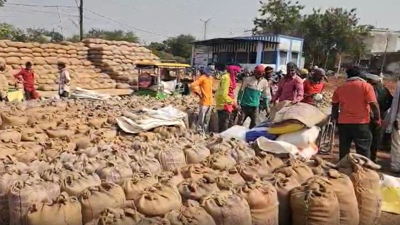 Paddy Procurement Scam Rajnandgaon Chhattisgarh Over 1700 Quintals Of Paddy Missing From Warehouses Of Two Societies