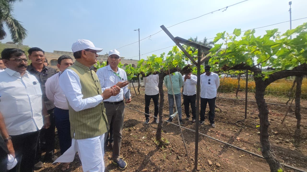 National Research Centre For Grapes Pune Exposed In Shivraj Visit Nursery Fails Varieties Ineffective And Slow Clean Plant Work