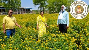 60 हजार लगाकर किसान ने कमाए 2 लाख रुपये, इस फूल की खेती आपको भी बना देगी करोड़पति 60 हजार लगाकर किसान ने कमाए 2 लाख रुपये, इस फूल की खेती आपको भी बना देगी करोड़पति