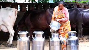 किसानों से 2.5 लाख लीटर दूध रोज खरीदेगी मधुर डेयरी, 128 करोड़ की लागत वाली डेयरी शुरू किसानों से 2.5 लाख लीटर दूध रोज खरीदेगी मधुर डेयरी, 128 करोड़ की लागत वाली डेयरी शुरू