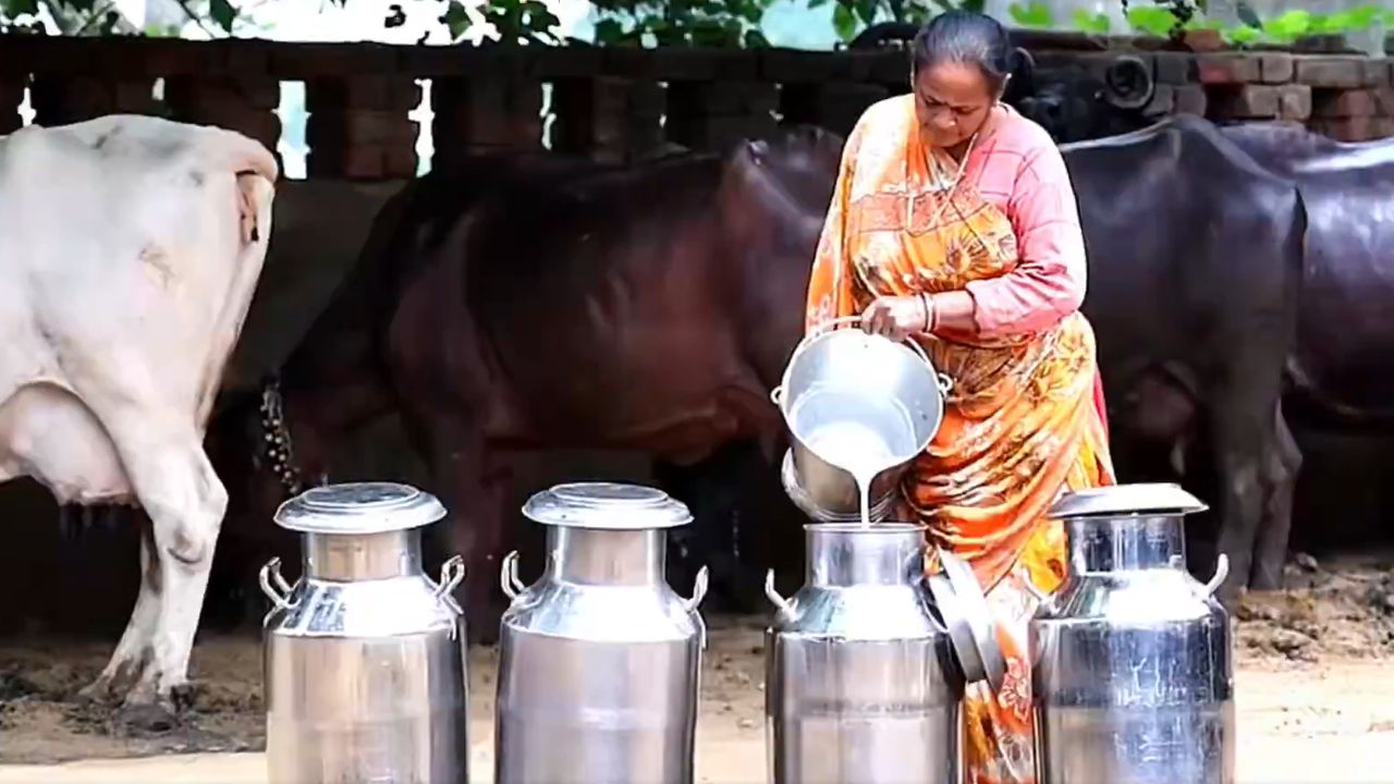 Amit Shah Launches Madhur Dairy In Gujarat Dairy To Process 2 5 Lakh Liters Of Milk Daily From Farmers