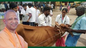 UP Cabinet: पशु चिकित्सा छात्रों के लिए बड़ा ऐलान, सीएम ने इंटर्नशिप भत्ता 8 हजार रुपये बढ़ाया UP Cabinet: पशु चिकित्सा छात्रों के लिए बड़ा ऐलान, सीएम ने इंटर्नशिप भत्ता 8 हजार रुपये बढ़ाया