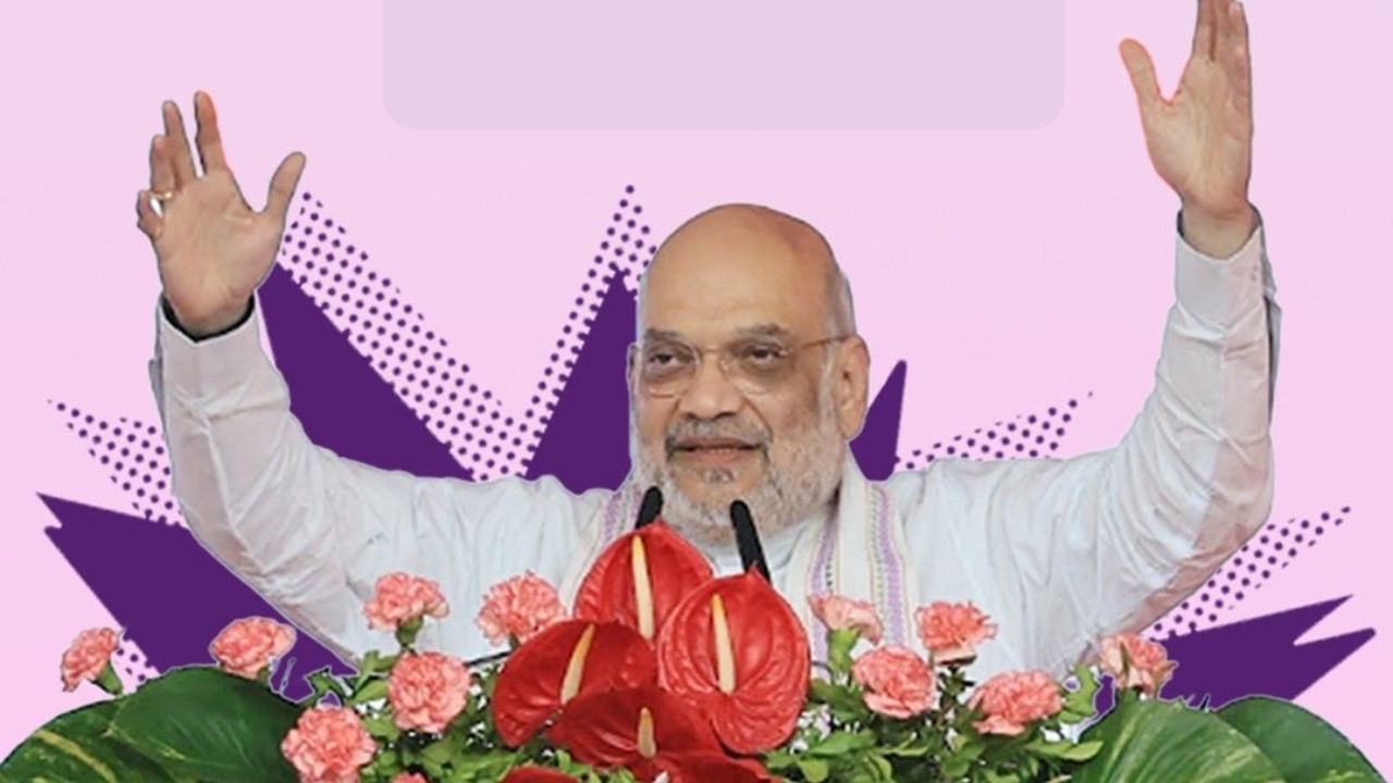 Government To Provide Cows And Buffaloes To Tribal Communities Of Naxal Affected Bastar And Paddy Procured At Rs 3100 Said Amit Shah
