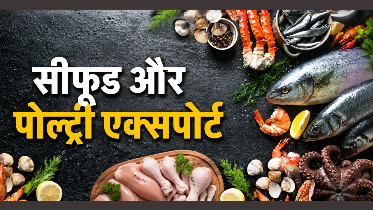 Indian Seafood Trade Hit By West Asia Conflict Clfma Said Bad Impact On Poultry And Feed Exports Also