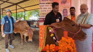 देसी गायों के उत्पादों का अमेरिका समेत 10 देशों में डंका, असीम रावत ने बनाया 10 करोड़ का एथिकल डेयरी मॉडल देसी गायों के उत्पादों का अमेरिका समेत 10 देशों में डंका, असीम रावत ने बनाया 10 करोड़ का एथिकल डेयरी मॉडल