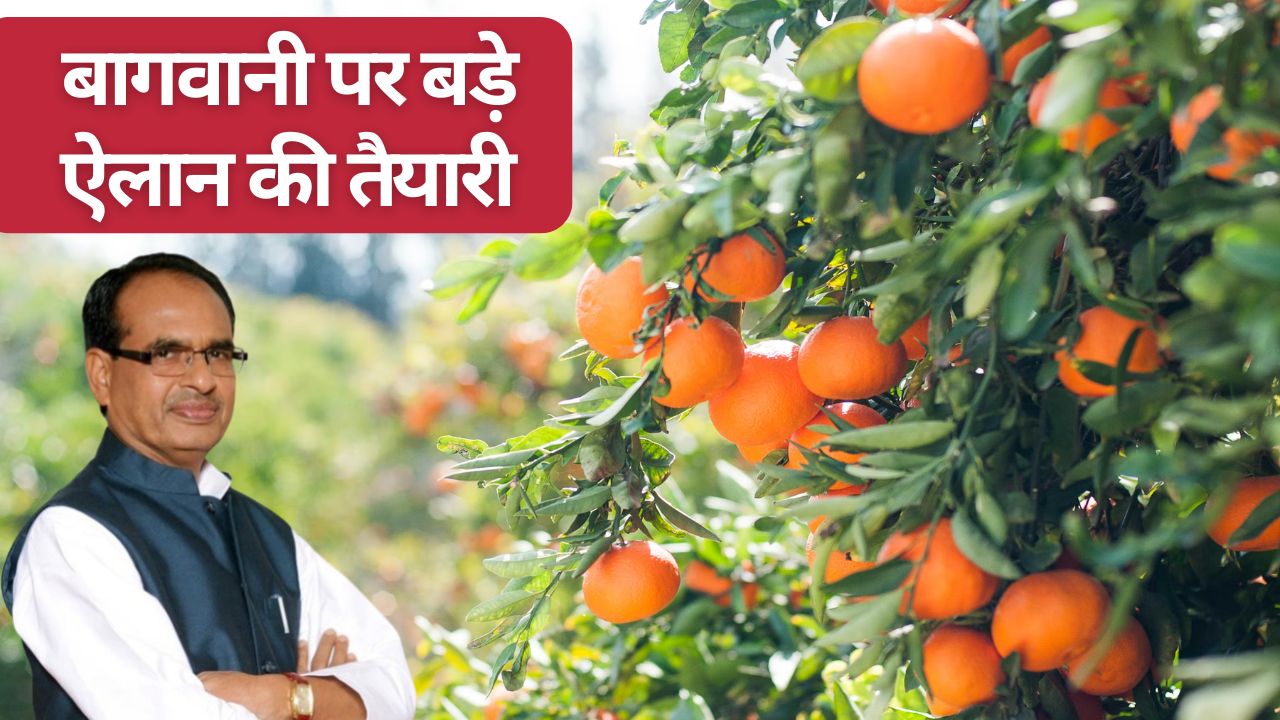 Center To Boost Horticulture Exports Agriculture Minister Shivraj Singh To Make Several Announcements In Fruit Horizon 2026 In Lucknow
