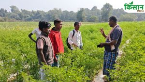 नक्सल इलाके में किसान की किस्मत बदली, आधुनिक खेती से कमाए लाखों रुपये, गांव में बने मिसाल नक्सल इलाके में किसान की किस्मत बदली, आधुनिक खेती से कमाए लाखों रुपये, गांव में बने मिसाल