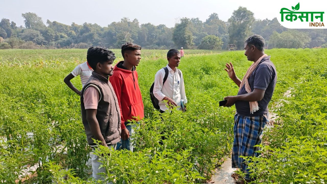 Gopal Erragola Farmer Success Story Futkel Raipur Modern Farming Lakhs Income