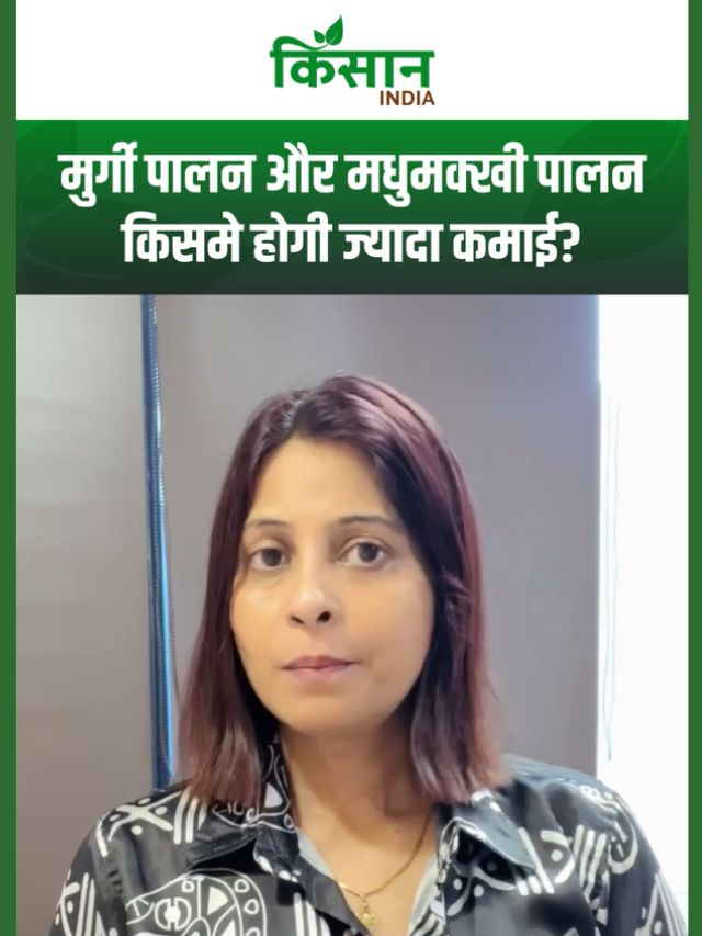 Poultry farming or Beekeeping: मुर्गी पालन या मधुमक्खी पालन, किसमें ज्यादा मुनाफा कमा सकते हैं किसान