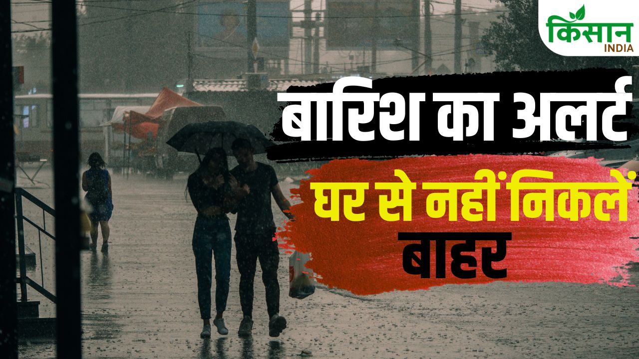 Weather Update Rain Alert In Delhi Ncr Strong Winds Likely Imd Forecast