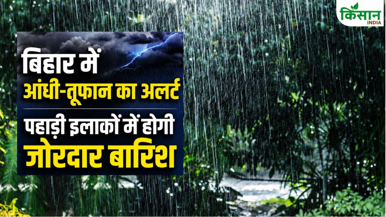 Alert Issued For 19 States Weather Update Possibility Of Rain Imd Forecast