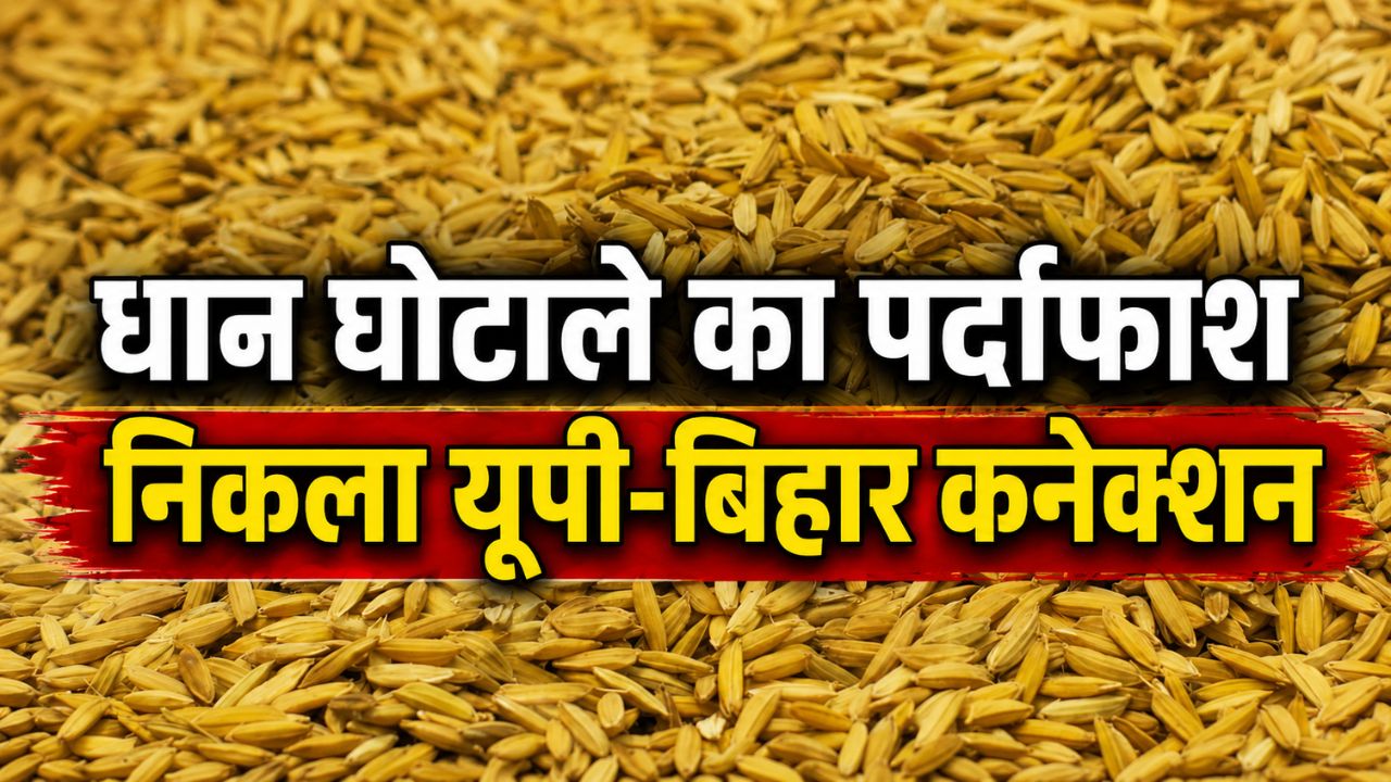 Karnal Paddy Scam Major Revelation Scam Linked To Up And Bihar