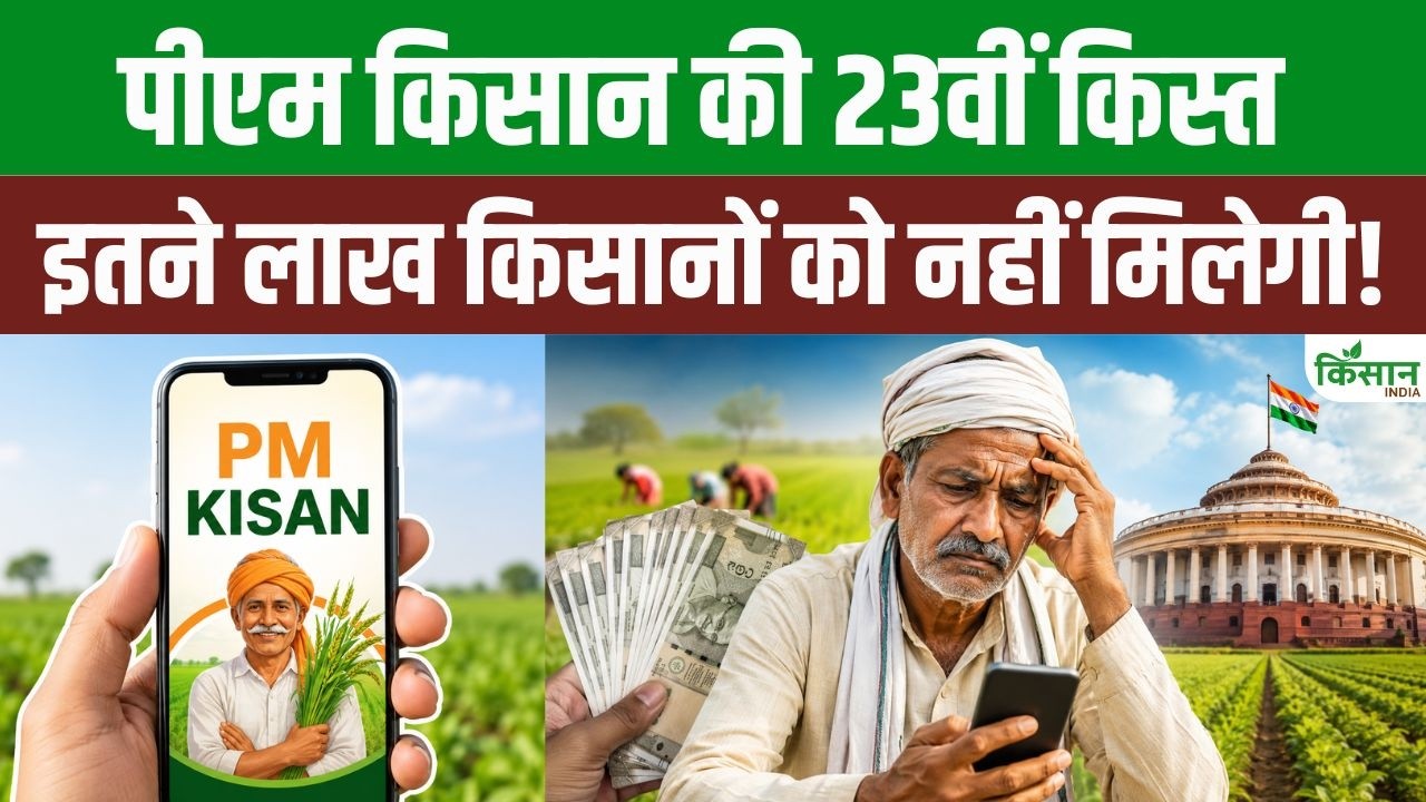 Farmer Registry And Document Errors Stop Pm Kisan Installments Learn Easy Way Rectify Them Now