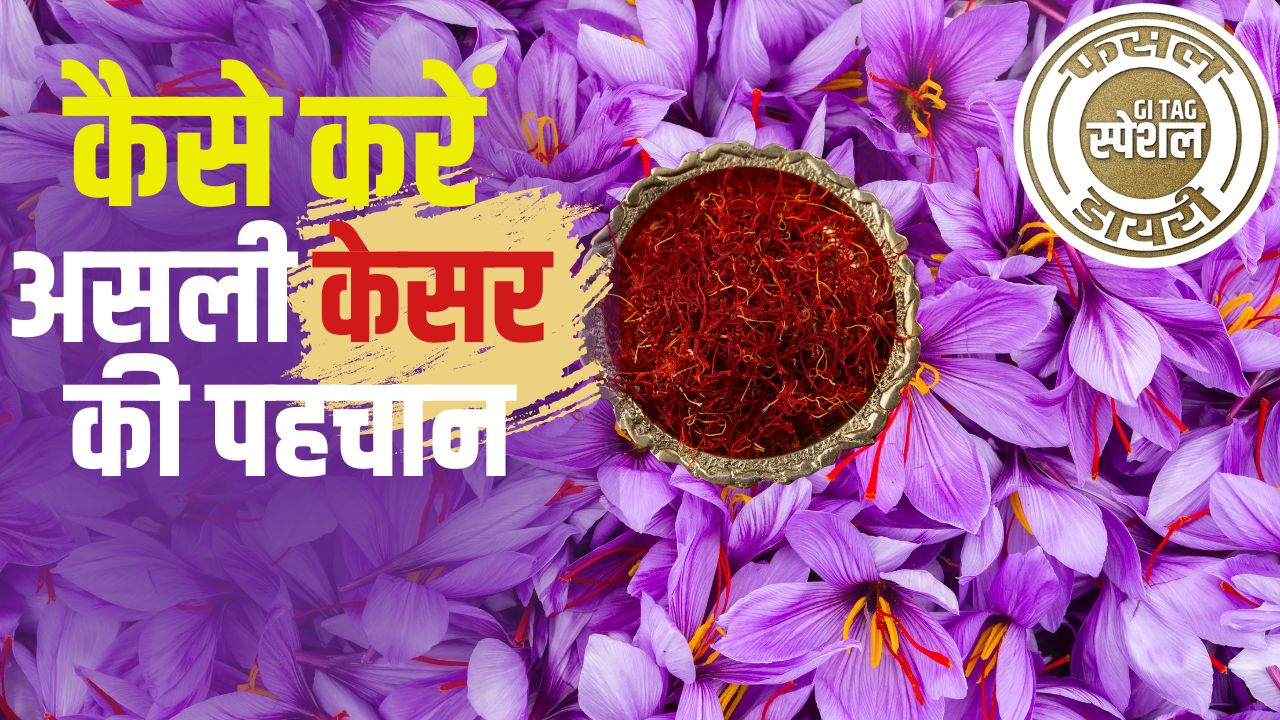 Cultivation Kashmiri Saffron Specialty Of Kashmir Saffron And Method Of Cultivation