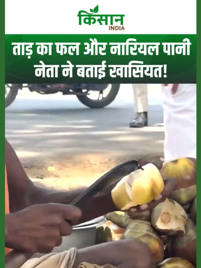 Sambit Patra ने पुरी की गर्मी में चखा ताड़ के फल और नारियल पानी का स्वाद, बताई खासियत