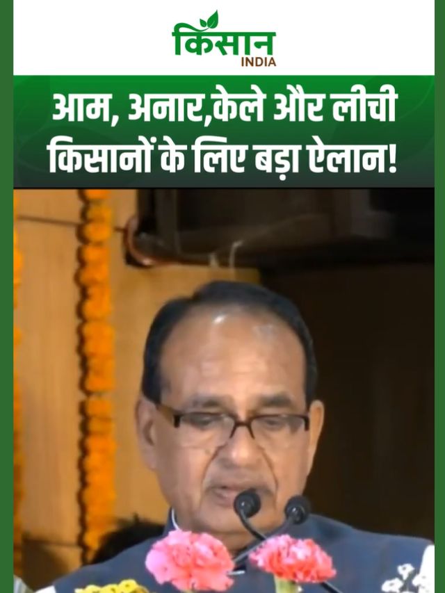 फल किसानों के लिए शिवराज का बड़ा ऐलान: अब अनार, केला, आम और लीची रहेंगे ज्यादा दिन ताजा