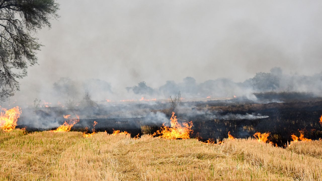 Caqm Action Plan On Stubble Burning 2026 One Nodal Officer To Be Appointed Per 100 Farmers In Punjab Haryana Up Parali Management