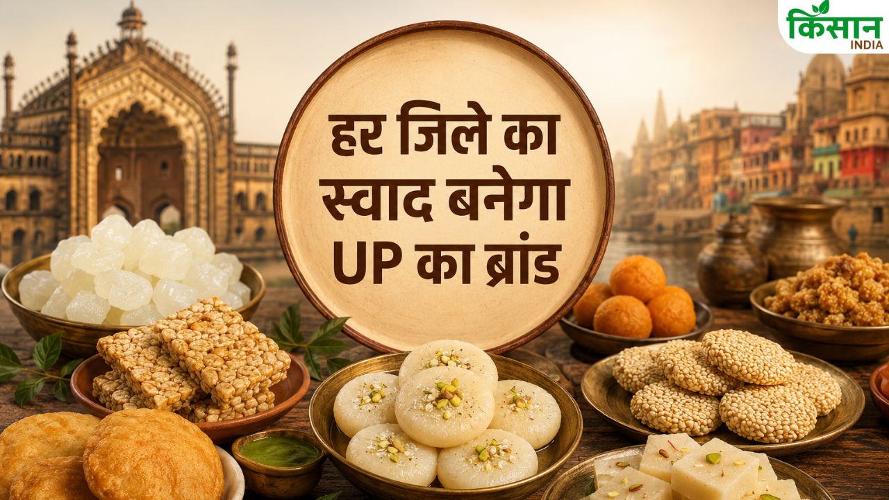 Up One District One Product Odop Food Scheme Gets Approved Traditional Cuisine Branding Lucknow