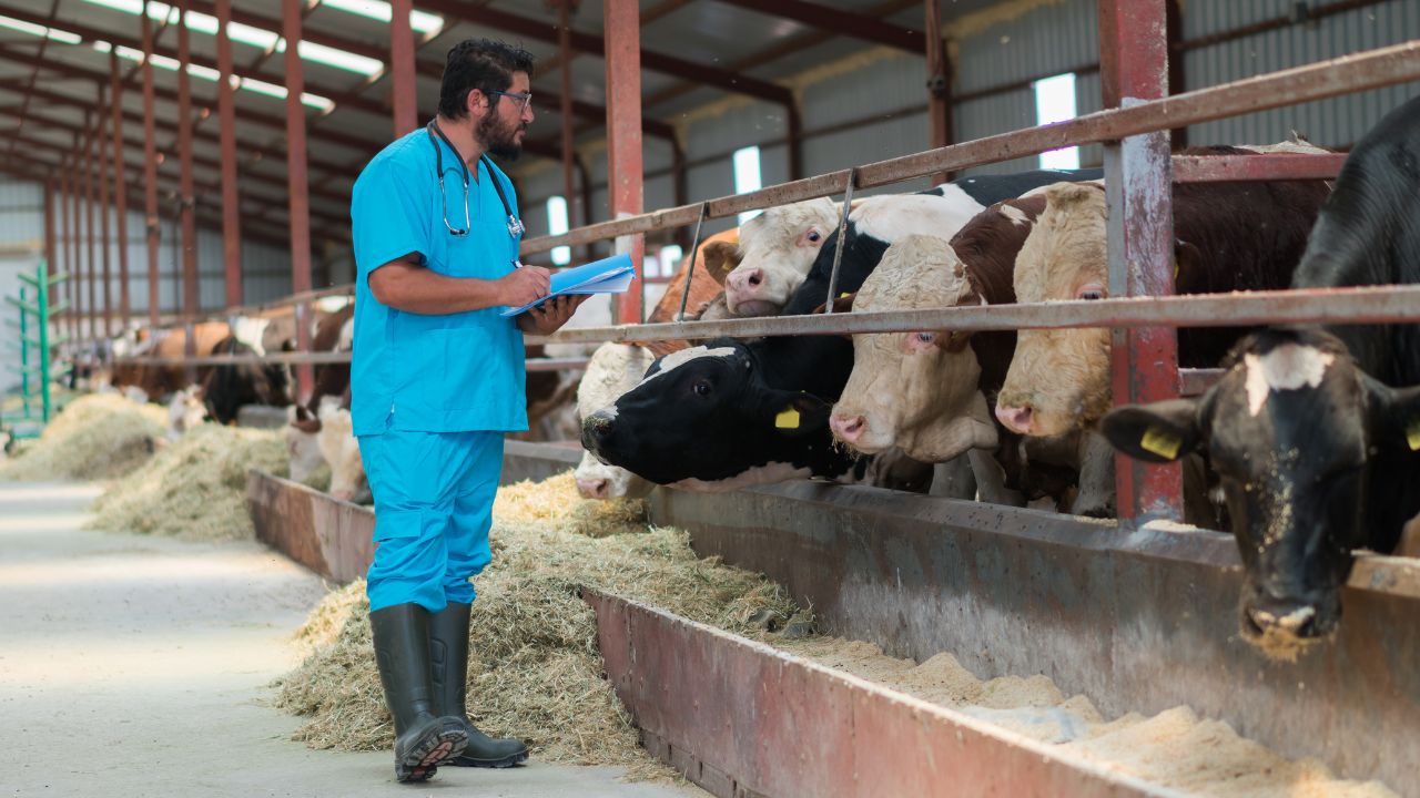 Bihar Government Free Animal Health Testing Facility For Dairy And Livestock Farmers