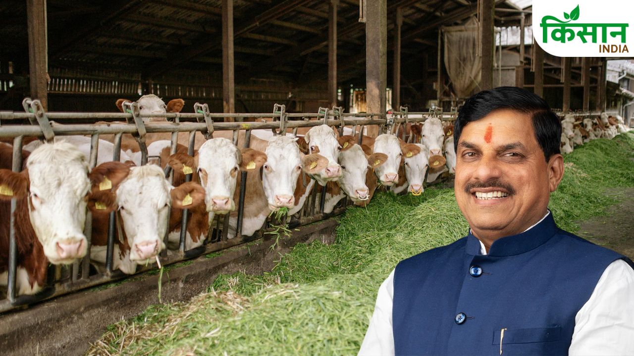 Gwalior State Level Dairy Producer And Livestock Farmers Conference Mohan Yadav