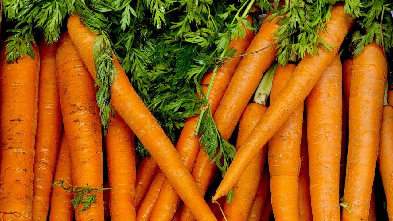 Yellow Carrot Farming Profit Summer Crop Farmers Income