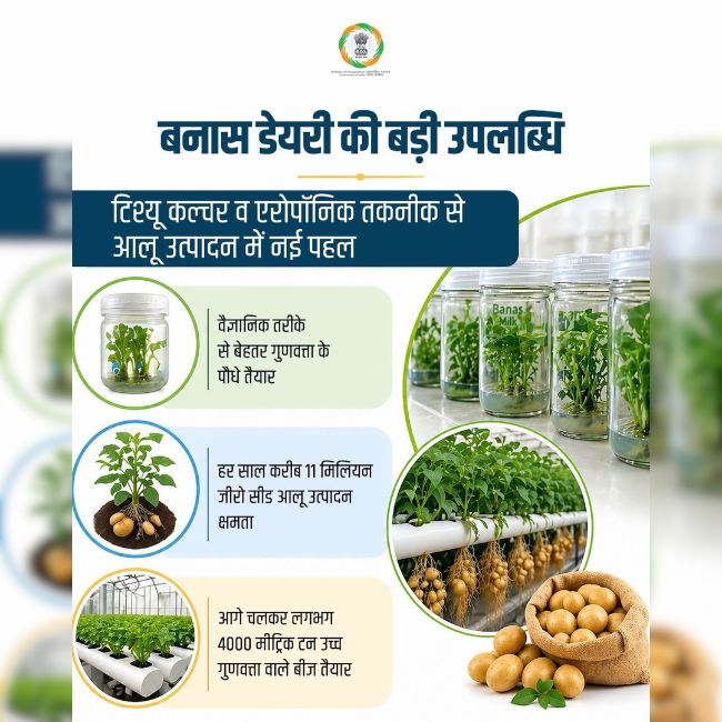 Banas Dairy, Potato Farming, Tissue Culture, Aeroponic Technology, Farmers Income
