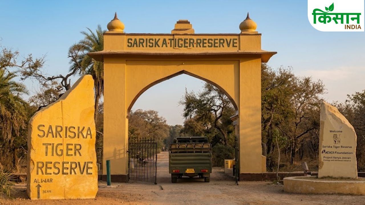 Sariska Tiger Reserve Wildlife Hospital Land Expansion 7000 Hectare Update