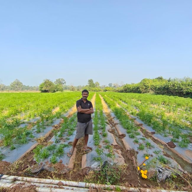 Farmer Income, Modern Farming, Rural Development, Success Story Agriculture Growth