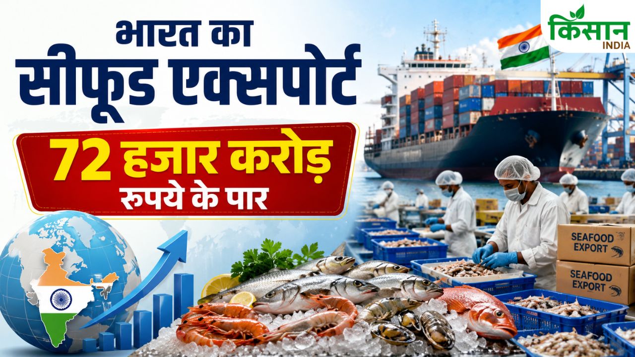 India Seafood Exports Record 72 Thousand Crore Frozen Shrimp Demand Boom