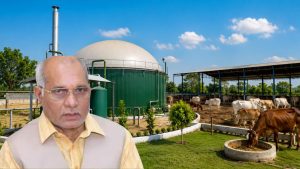 यूपी में पशुओं के लिए मुफ्त वैक्सीनेशन करने के निर्देश, बारिश से पहले हर पशु को लगेगा टीका यूपी में पशुओं के लिए मुफ्त वैक्सीनेशन करने के निर्देश, बारिश से पहले हर पशु को लगेगा टीका