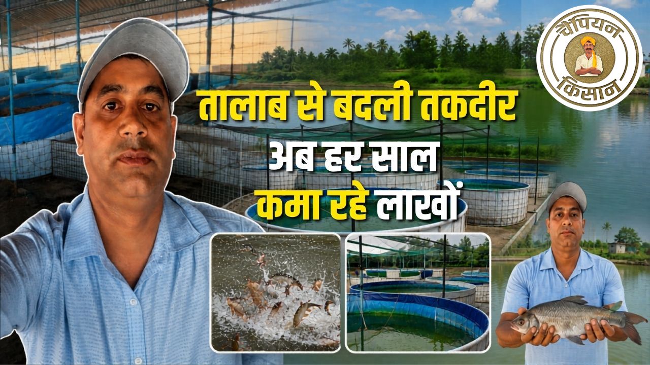 Success Story Pmmsy Scheme Changed Basanta Kumar Life Now Earning 25 Lakh Annually From Fish Farming