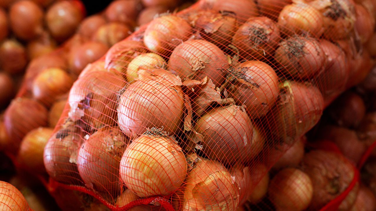 Madhya Pradesh Satna Onion Cold Storage Subsidy Farmers Double Profit