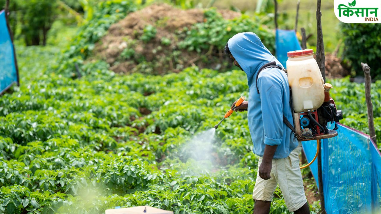 Bihar Government Strict On Fake Pesticides Wrong Chemicals Can Destroy Entire Crop