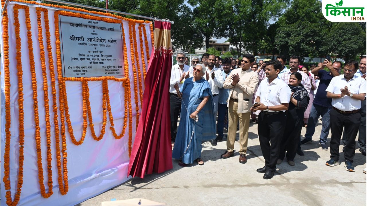 Hydroponic Green Fodder Unit Launched By Governor Anandiben Patel
