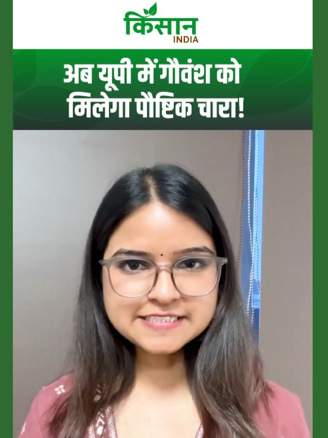 Uttar Pradesh में शुरू हुई Hydroponics चारा उत्पादन यूनिट, गौवंश को मिलेगा पौष्टिक चारा!