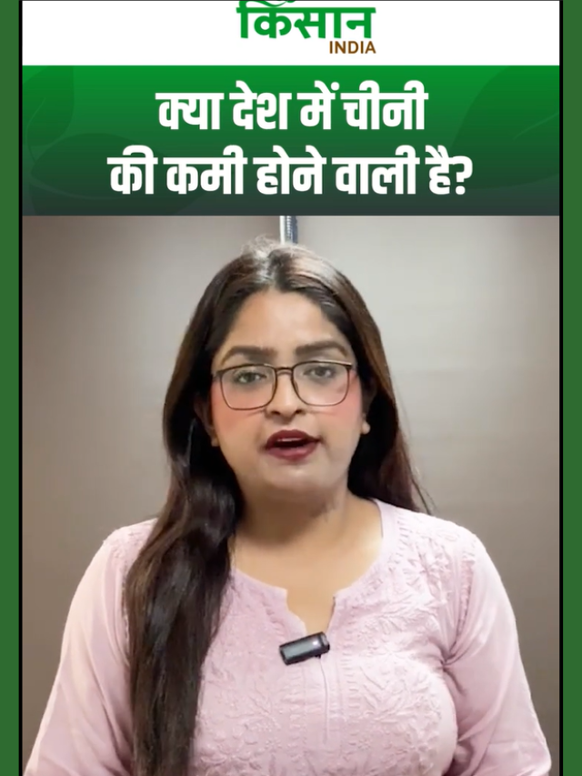क्या देश में होने वाली है चीनी की कमी? एक्सपोर्ट बैन के बाद बढ़ी चिंता