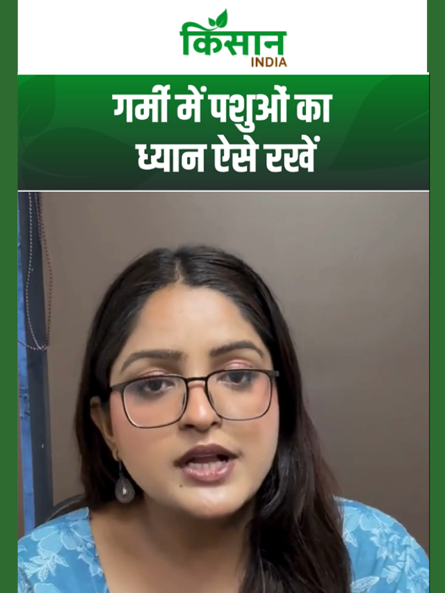 भयंकर गर्मी में पशुओं को बचाएं!