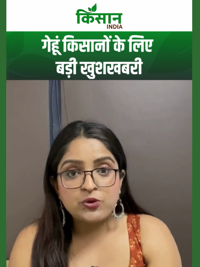 मध्य प्रदेश सरकार का गेहूं खरीदी पर सबसे बड़ा फैसला! जानिए सीएम मोहन यादव ने क्या कहा