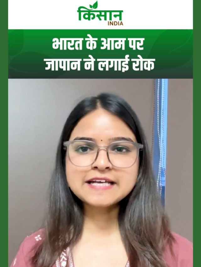 भारत के आम पर जापान ने लगाई रोक, लेकिन इस देश में खरीदने के लिए मची होड़!