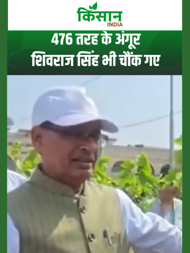 20 देशों के अंगूर अब भारत में, शिवराज सिंह ने दिखाई तकनीक!