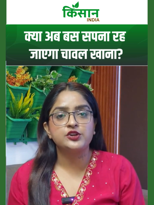 क्या अब थाली से गायब हो जाएगा चावल? USDA रिपोर्ट में चौंकाने वाला खुलासा