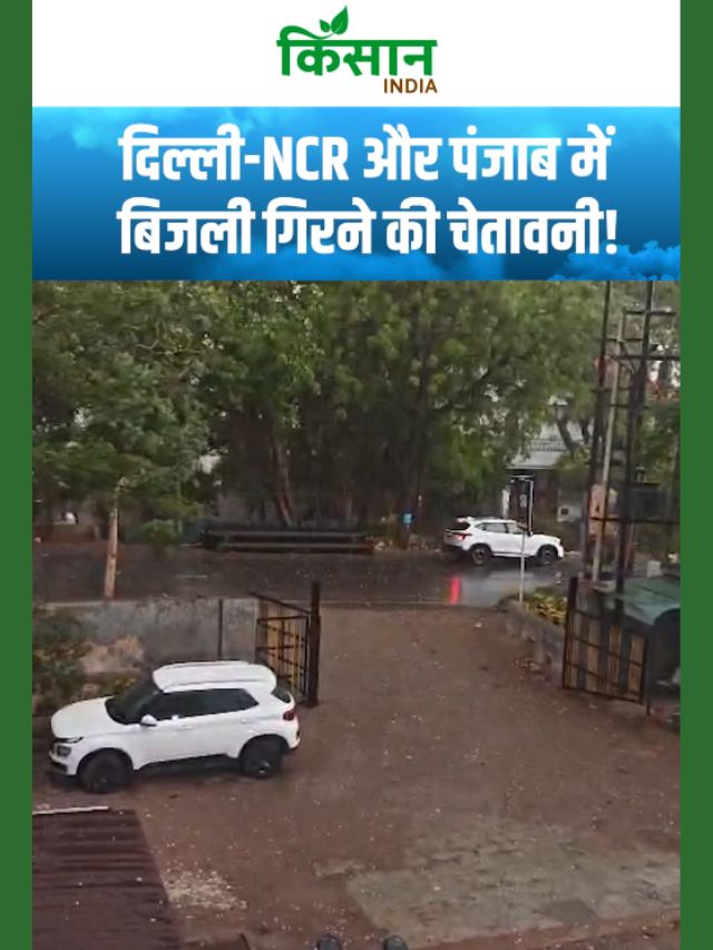 Delhi-NCR और Punjab में बिजली गिरने की चेतावनी, पूर्वी यूपी में ओलावृष्टि, कई जिलों में अलर्ट!