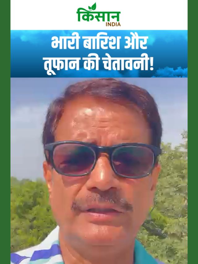 दिल्ली-पंजाब-हरियाणा में भारी बारिश और तूफान की चेतावनी! IMD ने जारी किया अलर्ट!