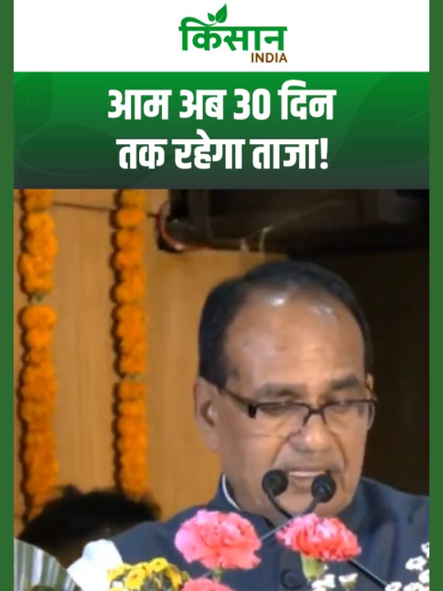 ICAR की बड़ी कामयाबी, आम अब 30 दिन तक रहेगा ताज़ा! Shivraj Singh Chouhan का बड़ा ऐलान!